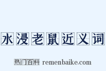 水浸老鼠近义词是什么意思的图片